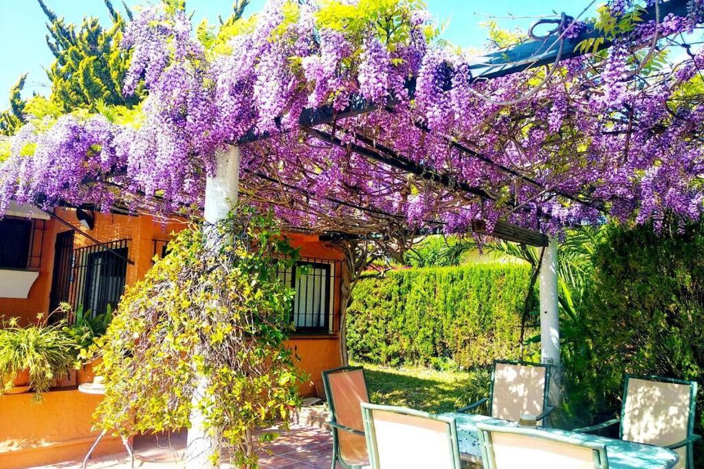 Villa Torrenueva Málaga Dış mekan fotoğraf