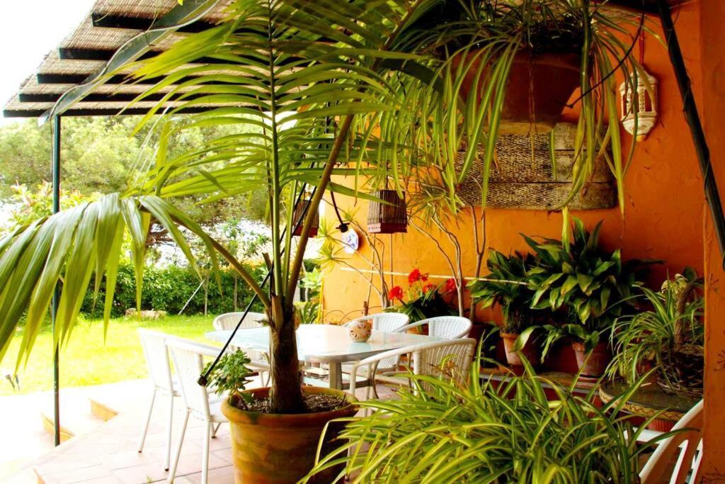 Villa Torrenueva Málaga Dış mekan fotoğraf